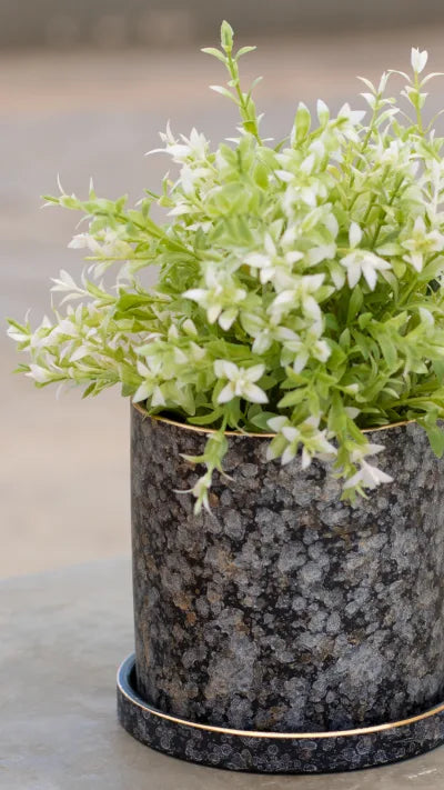 Γλάστρα Με Πιάτο Okyo Gold-Black Φ13*Υ14