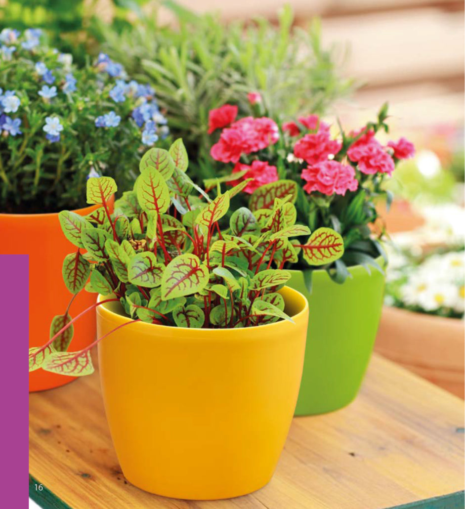 Plastona κασπώ πλαστικό στρογγυλό Rotto GOGREEN κίτρινο