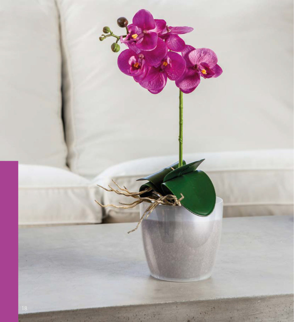 Plastona κασπώ πλαστικό στρογγυλό Rotto GOGREEN διάφανο ορχιδέας