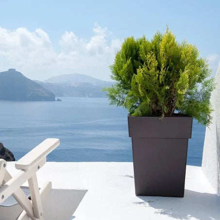 Viomes γλάστρα πλαστική τετράγωνη LINEA κοντή ανθρακί / μολυβί