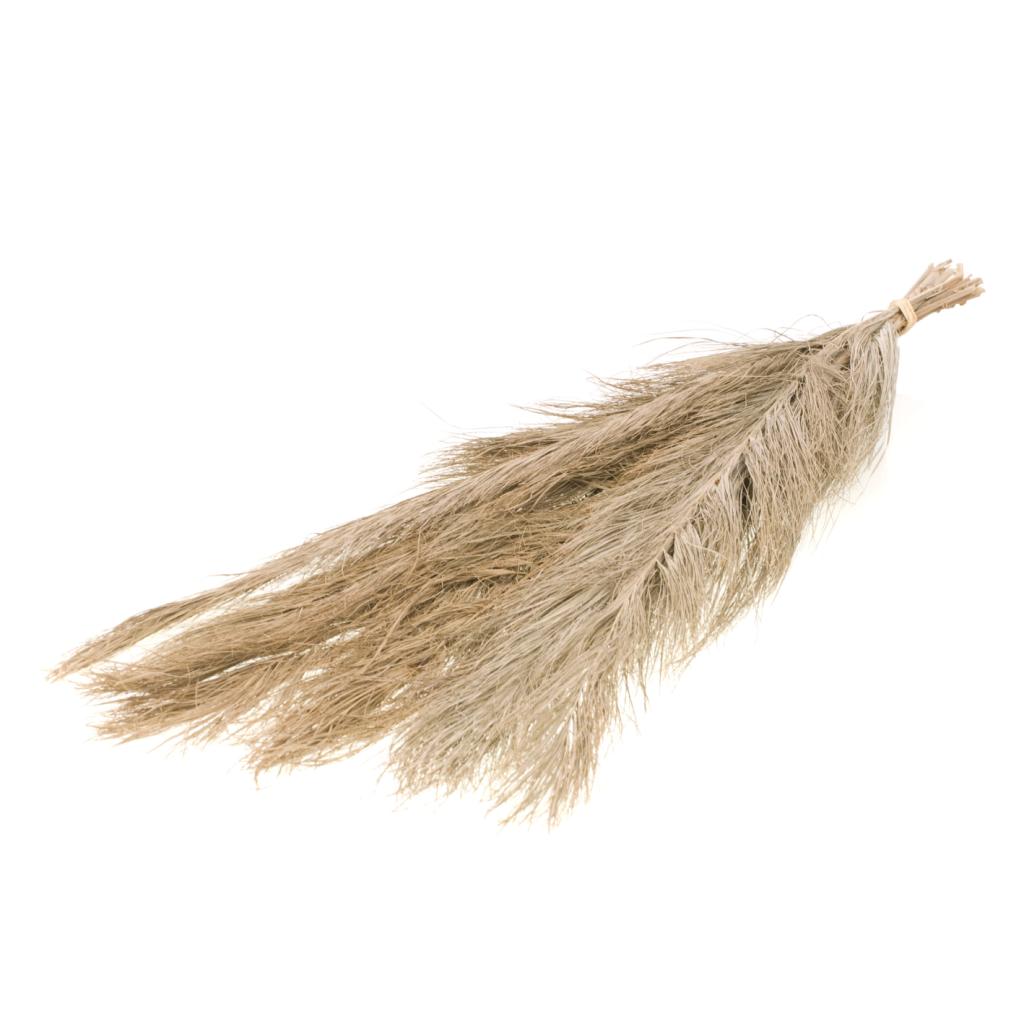 Date jhat natural Αποξηραμένο κλαδί 65εκ. 1τεμ.