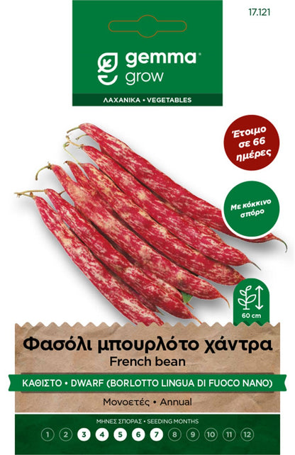 Φασόλι Μπουρλότο Χάντρα Καθιστό 857