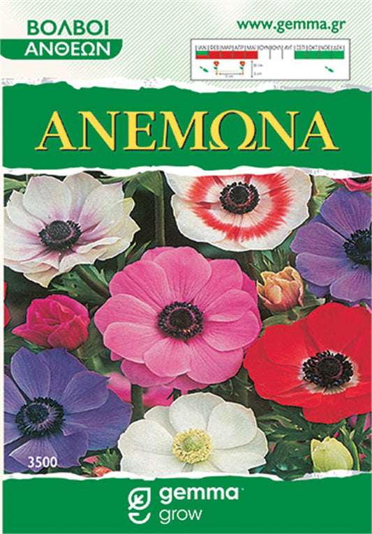 Ανεμώνη μίγμα (Anemone coronaria) 3500