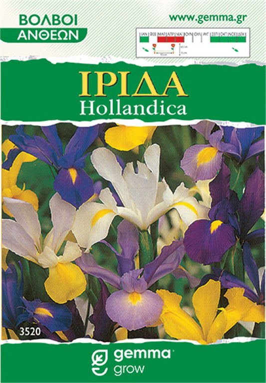 Ίριδα hollandica μίγμα (Dutch Iris Mix) 3520