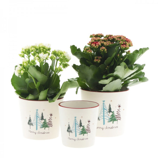 Κεραμικό χριστουγεννιάτικο κασπώ Rockin' Around the X-mas Tree 10.2*10