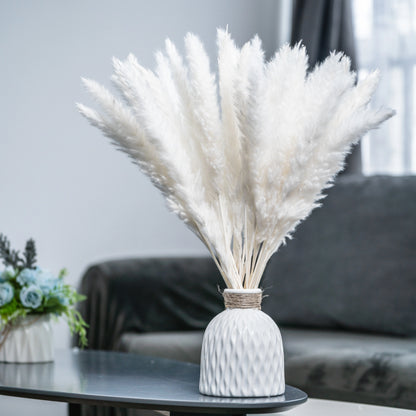 Pampas Grass Λευκό 60εκ. – Αποξηραμένο Κλαδί (1 τεμ.)