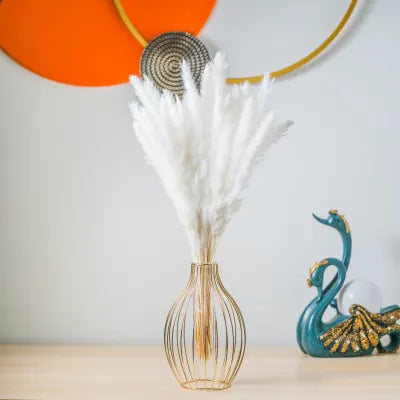 Pampas Grass Λευκό 60εκ. – Αποξηραμένο Κλαδί (1 τεμ.)