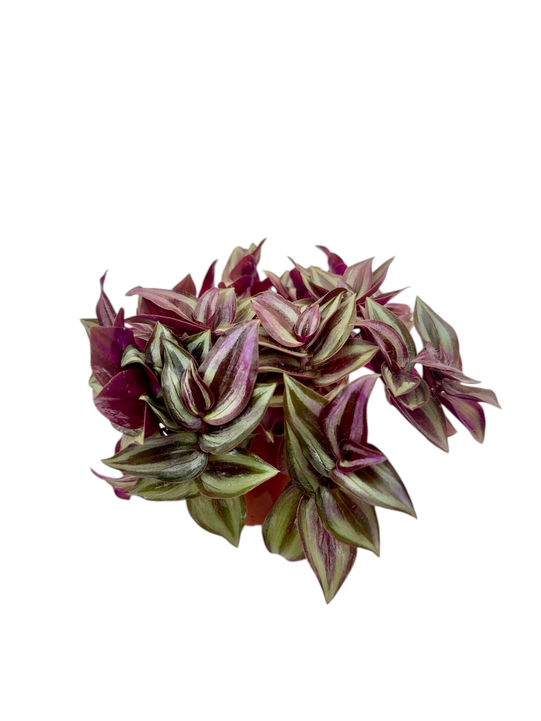 Τηλέγραφος Φ10.5εκ.