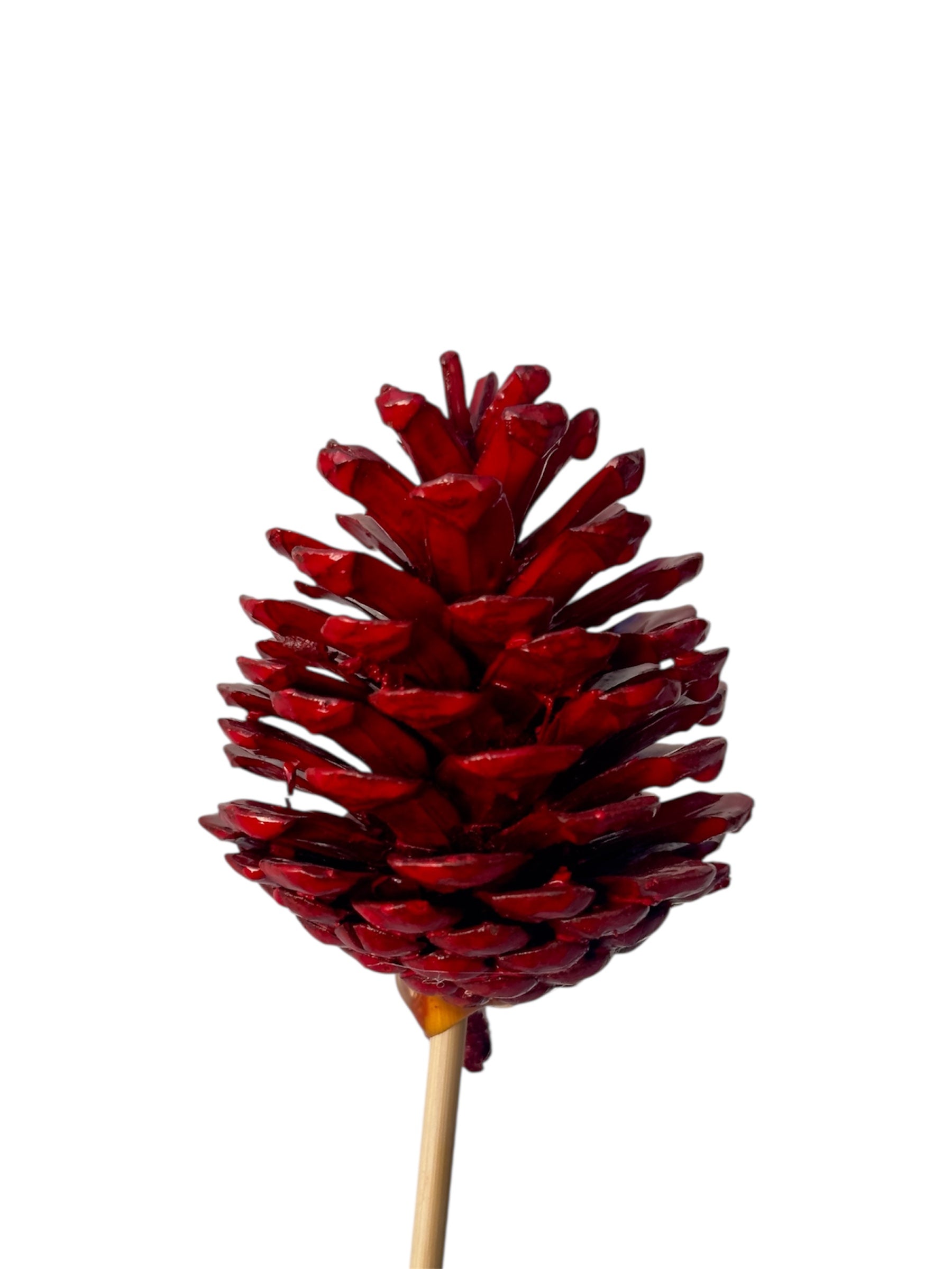 Στικ κουκουνάρι κόκκινο 45εκ.