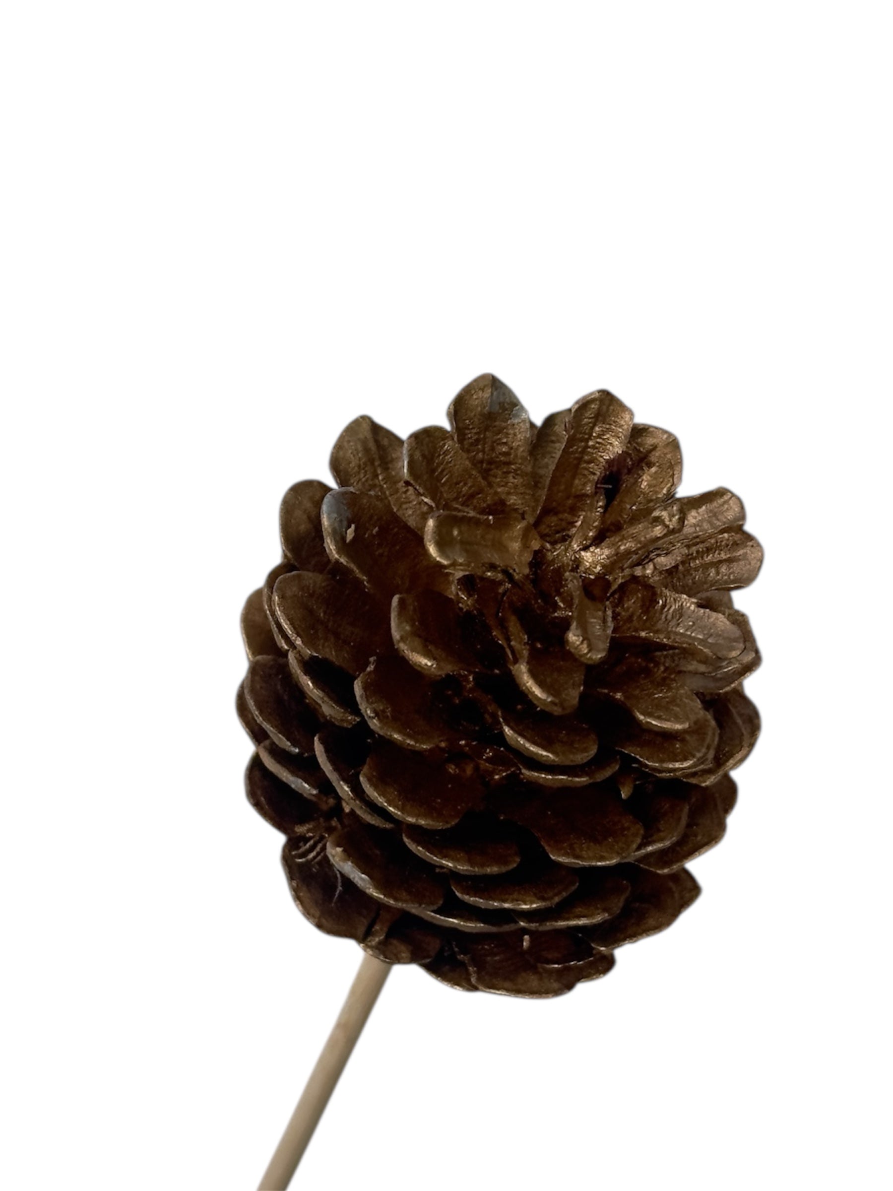 Στικ κουκουνάρι χρυσό 45εκ.