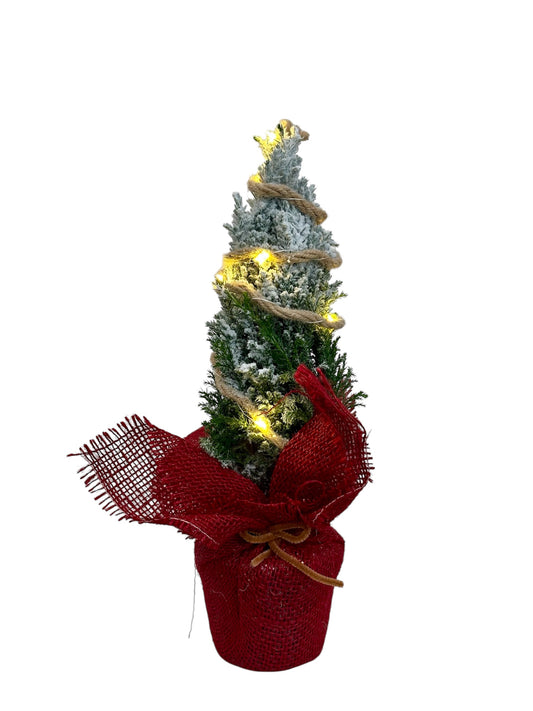 Στολισμένο κόκκινο Chamaecyparis ellwoodii με φωτάκια μπαταρίας Φ9εκ.