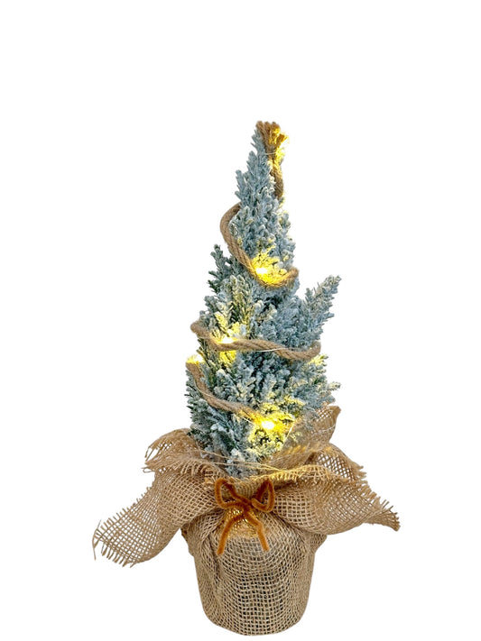 Στολισμένο καφέ Chamaecyparis ellwoodii με φωτάκια μπαταρίας Φ9εκ.