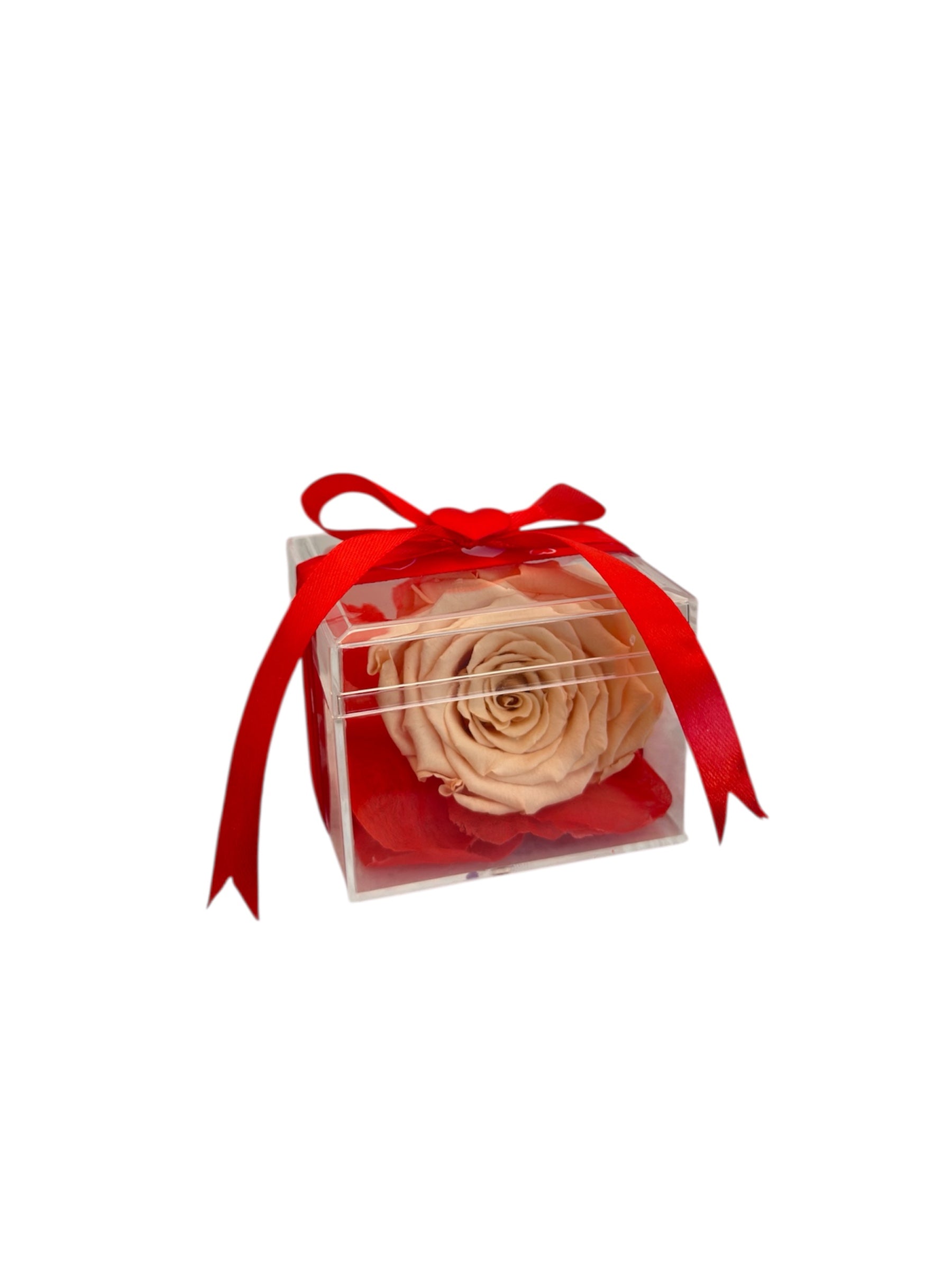 Forever Rose σε Plexiglass – Το Αιώνιο Τριαντάφυλλο σε Πολυτελή Θήκη