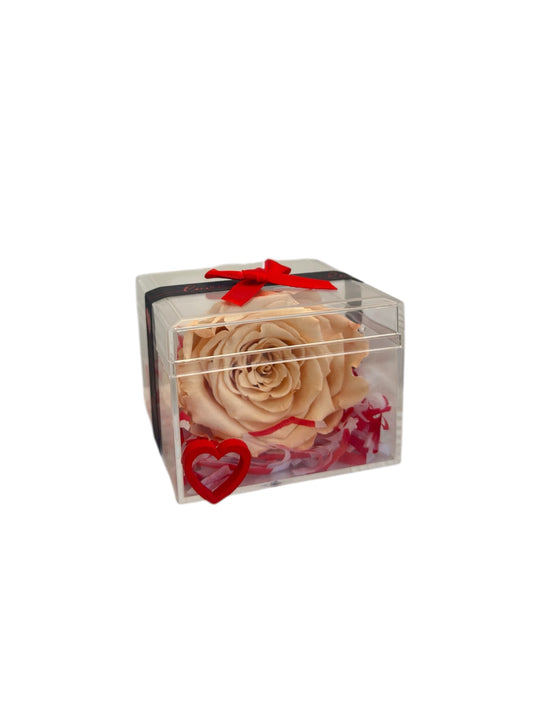 Forever Rose σε Plexiglass – Το Αιώνιο Τριαντάφυλλο σε Πολυτελή Θήκη