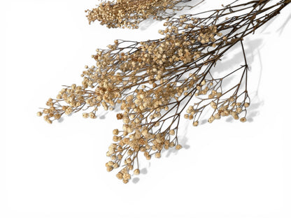 Gypsophila natural white Αποξηραμένο μπουκέτο (Γυψοφίλη) 50εκ.