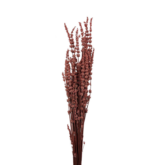 Λεβάντα αποξηραμένο κλαδί sweet cherry red