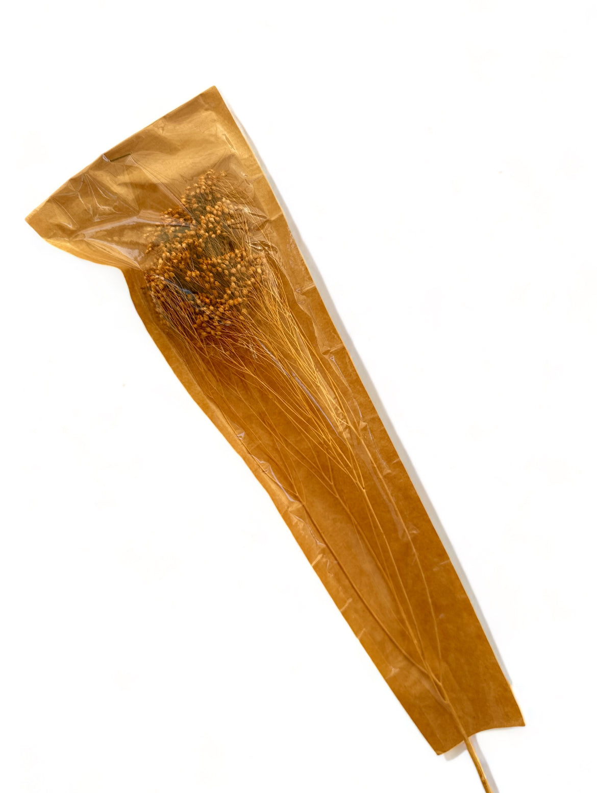 Broom bloom grass αποξηραμένο κλαδι σάπιο μήλο