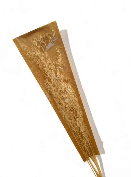 Preserved Valentine Grass 70~80εκ. αποξηραμένο Κλαδί White