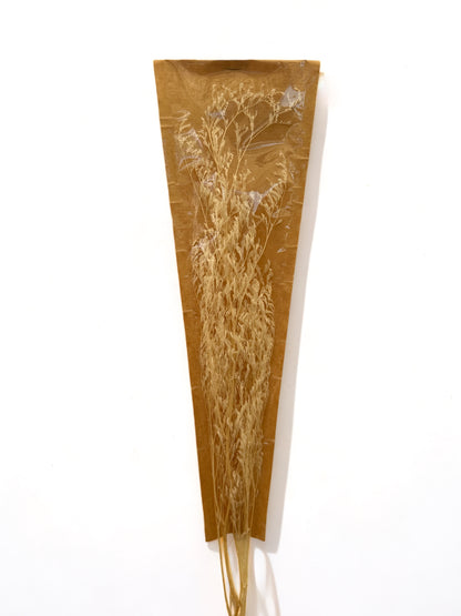 Preserved Valentine Grass 70~80εκ. αποξηραμένο Κλαδί White