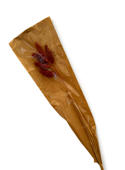 Phalaris 60εκ. Αποξηραμένο κλαδί Redwood Coffee