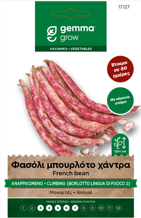 Φασόλι μπουρλότο χάντρα αναρριχώμενο 17127