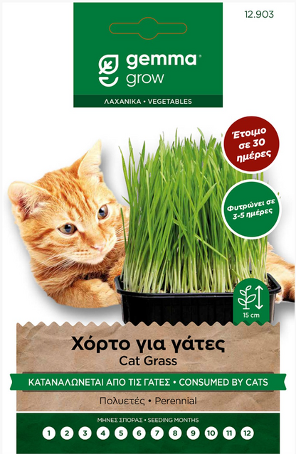 Χόρτο για γάτες 12903