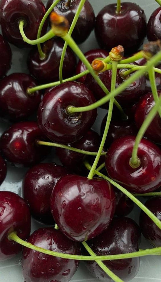 Κερασιά Μπουρλά (Burlat)