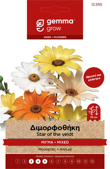 Διμορφοθήκη μίγμα 12555