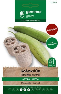 Κολοκύθα λούφα 12699