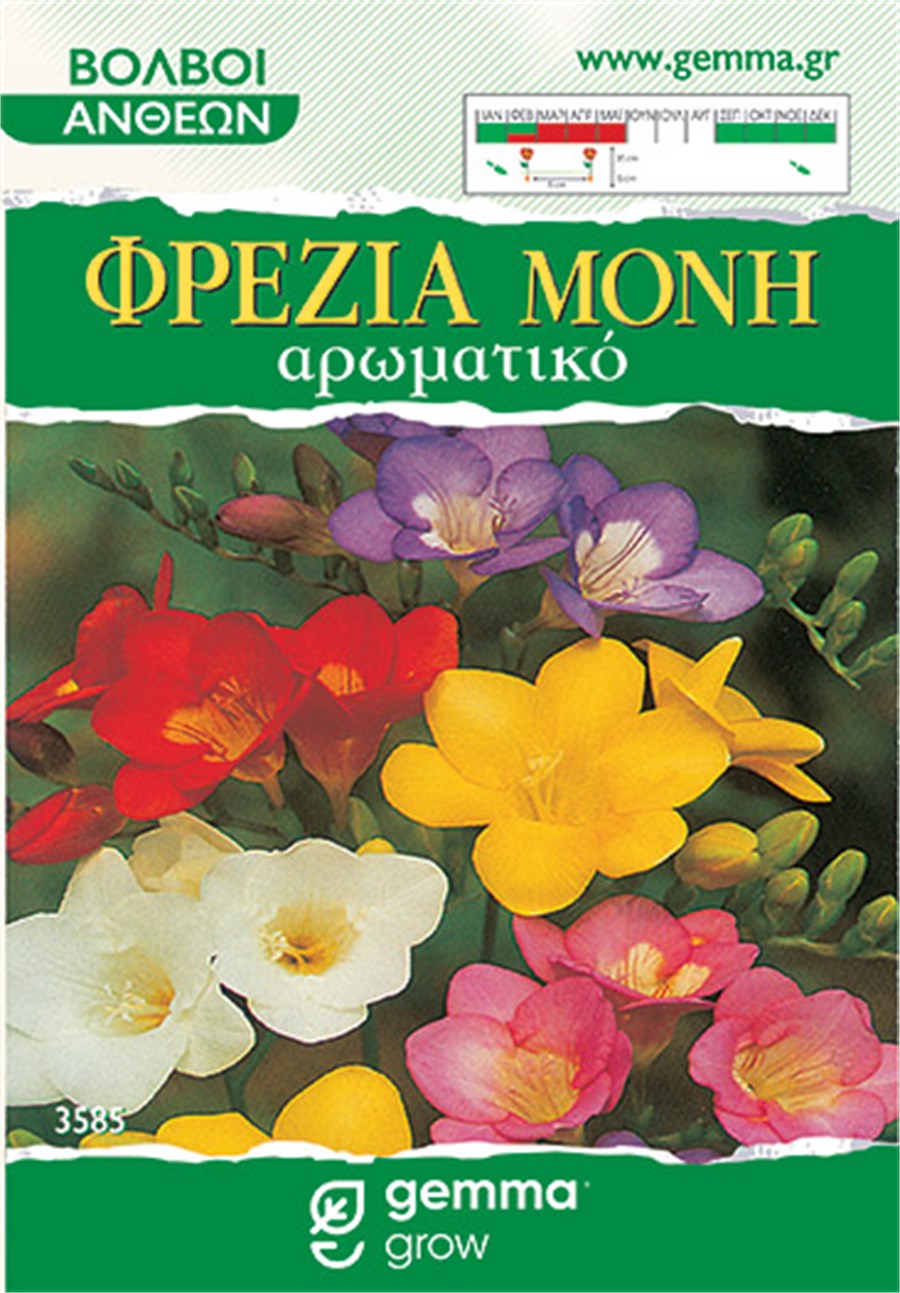 Φρέζια μονή μίγμα 3585