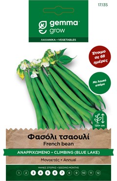 Φασόλι τσαουλί αναρριχώμενο 17135